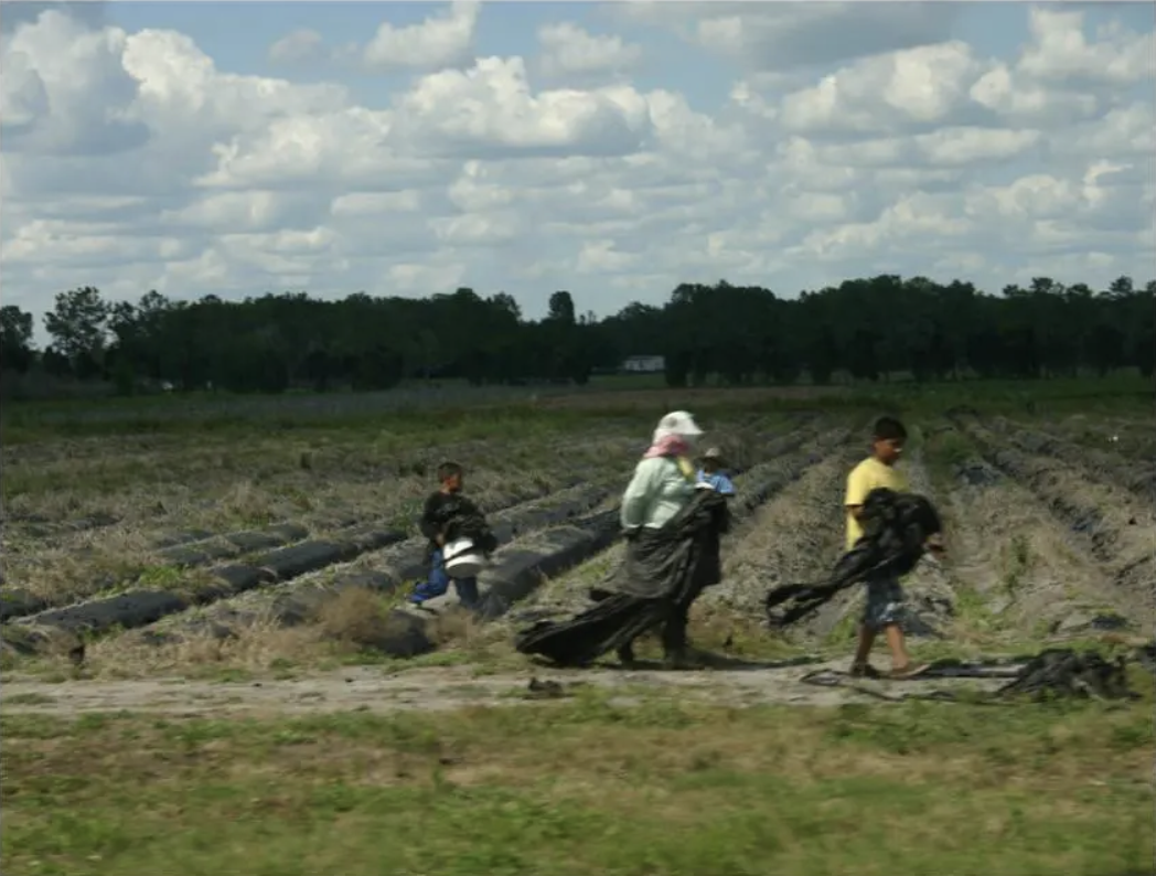 Child labor is not just history, and it’s showing up in class